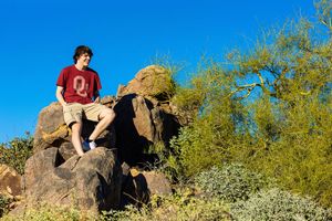 A person in red clothing climbs on large desert boulders surrounded by green desert vegetation and blue sky.
