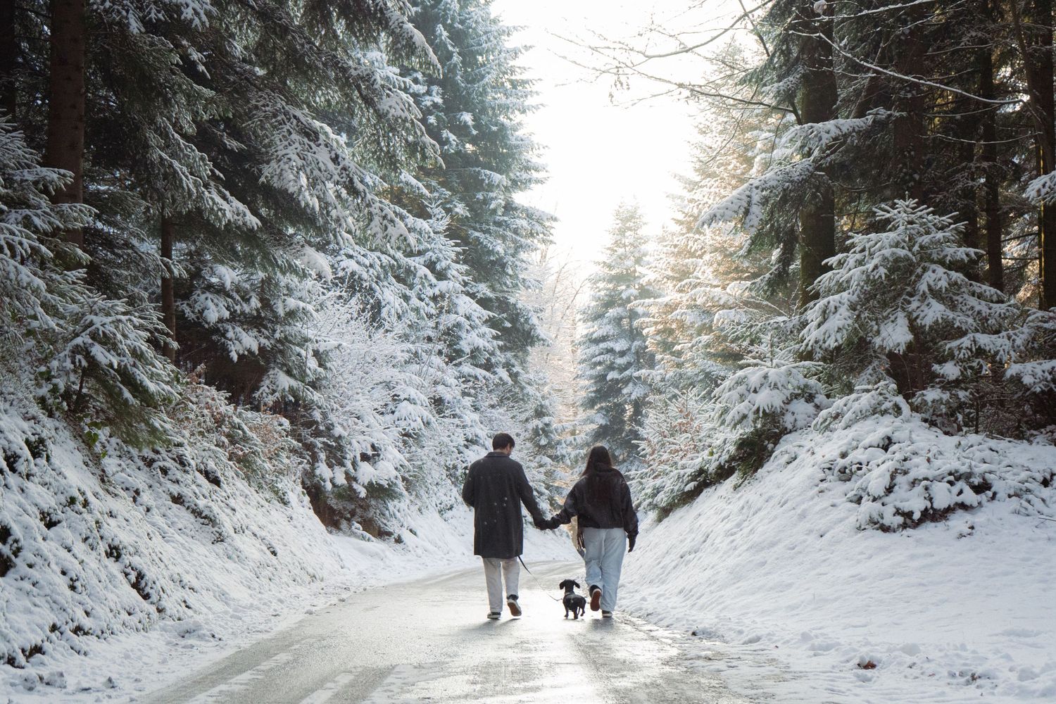 Snow-covered forest path with figures walking in the distance on a winter day.