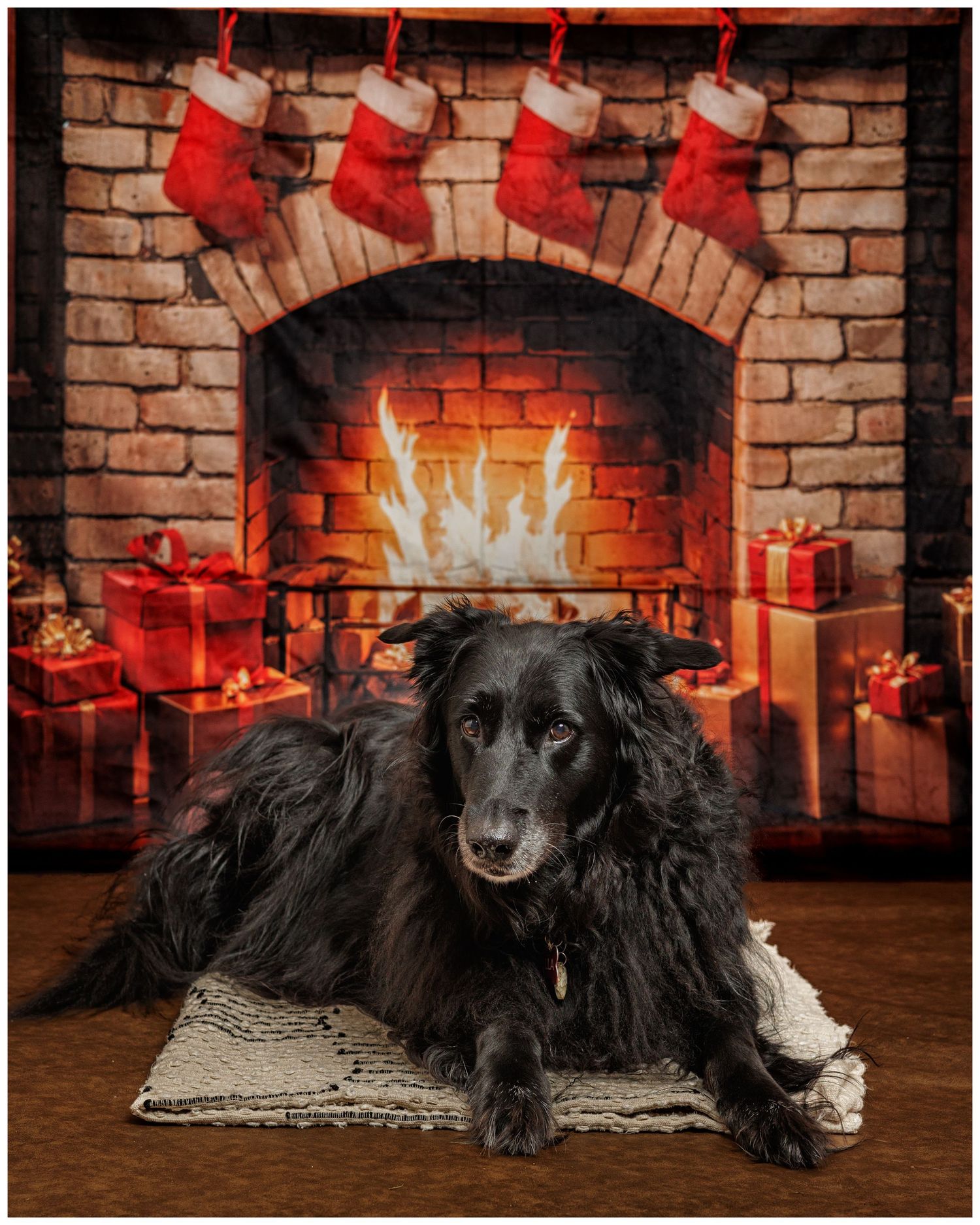 A black dog lies on a rug in front of a brick fireplace decorated with Christmas stockings.