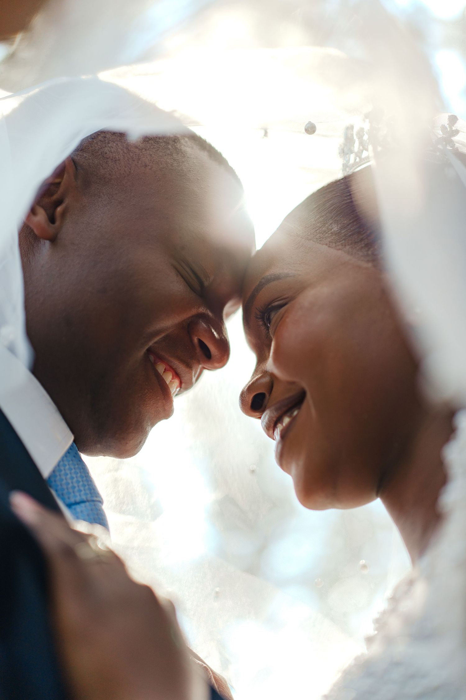 A series of silhouetted romantic kiss scenes captured in soft lighting against a bright background.