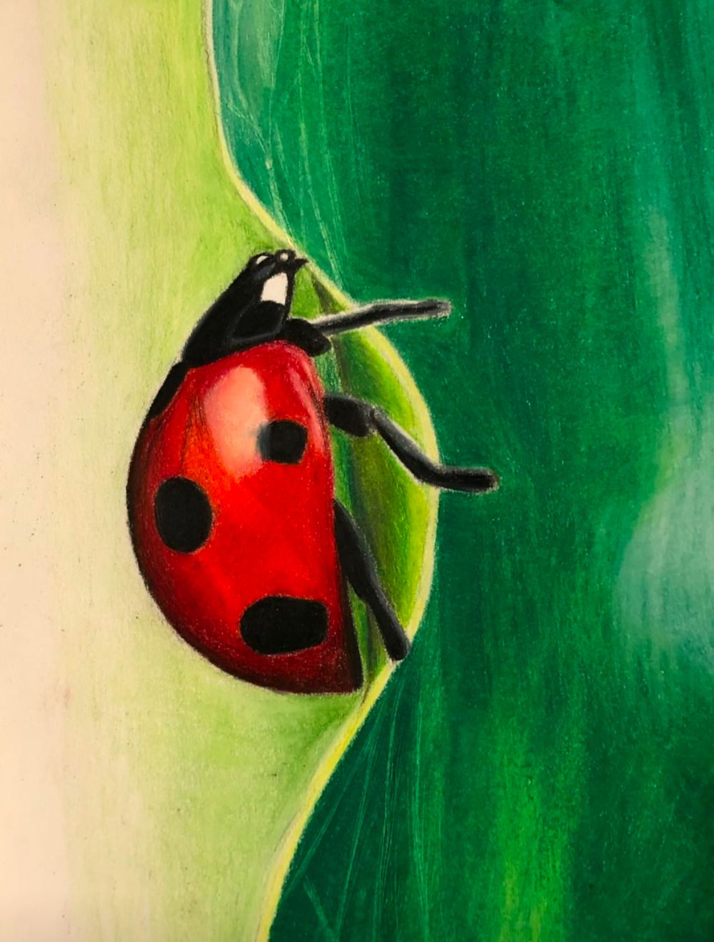 Prismacolor colored pencil drawing of a lady bug on a green leaf.