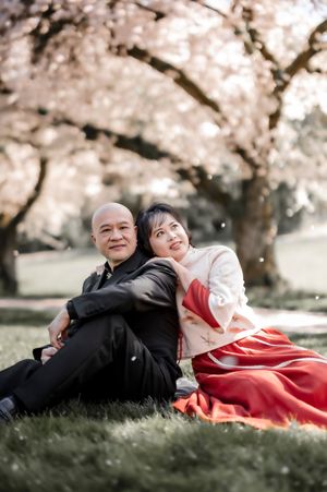 A couple relaxes together on grass beneath blooming cherry blossom trees on a spring day.