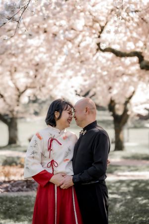 A couple shares an intimate moment under blooming cherry blossom trees in a spring garden.