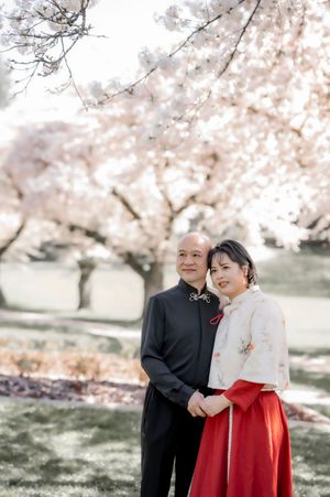 A couple shares tender moments under blooming cherry blossom trees in a spring photo session.