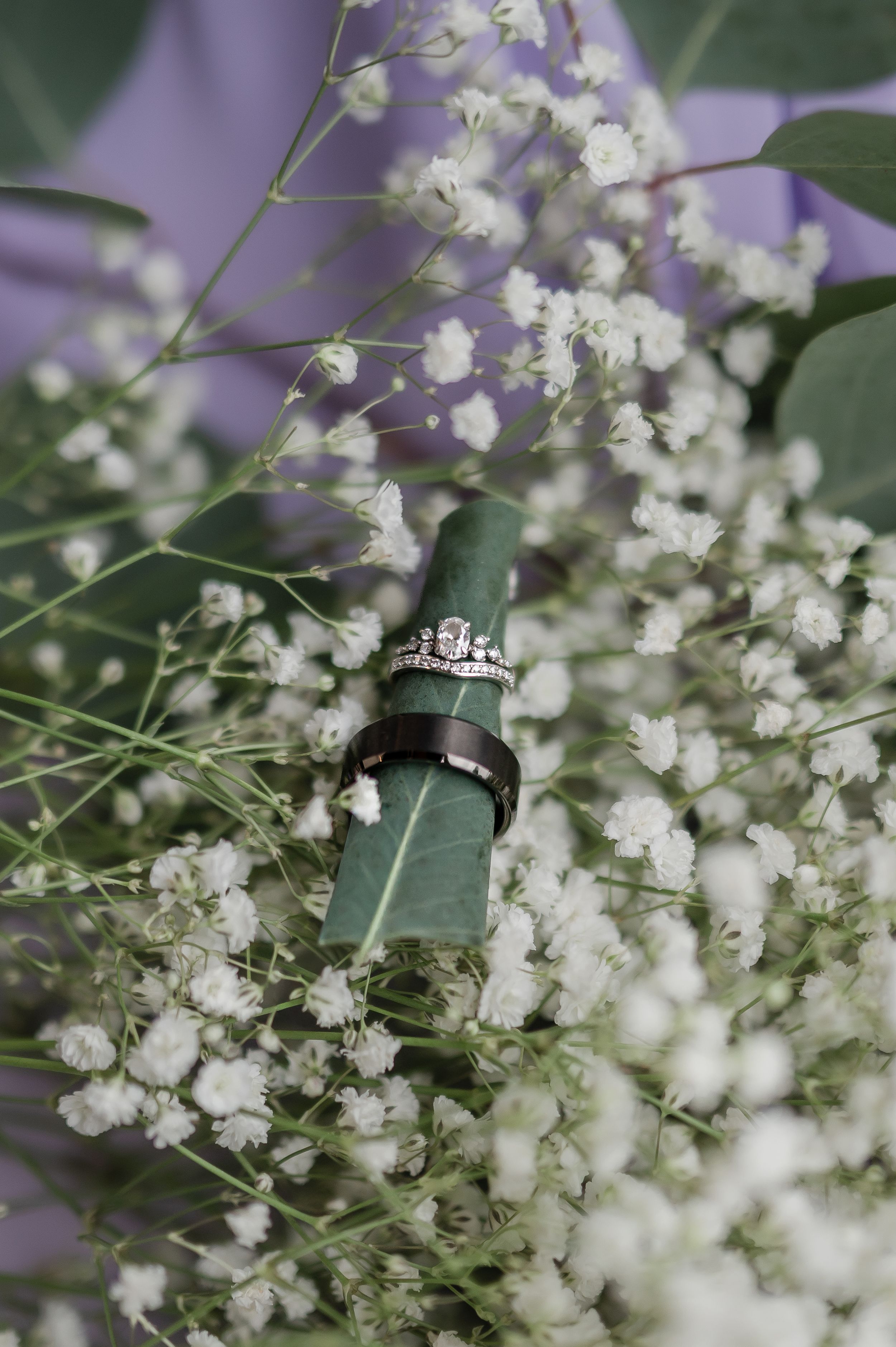 Delicate white baby's breath flowers create a soft, dreamy backdrop with green stems and leaves.