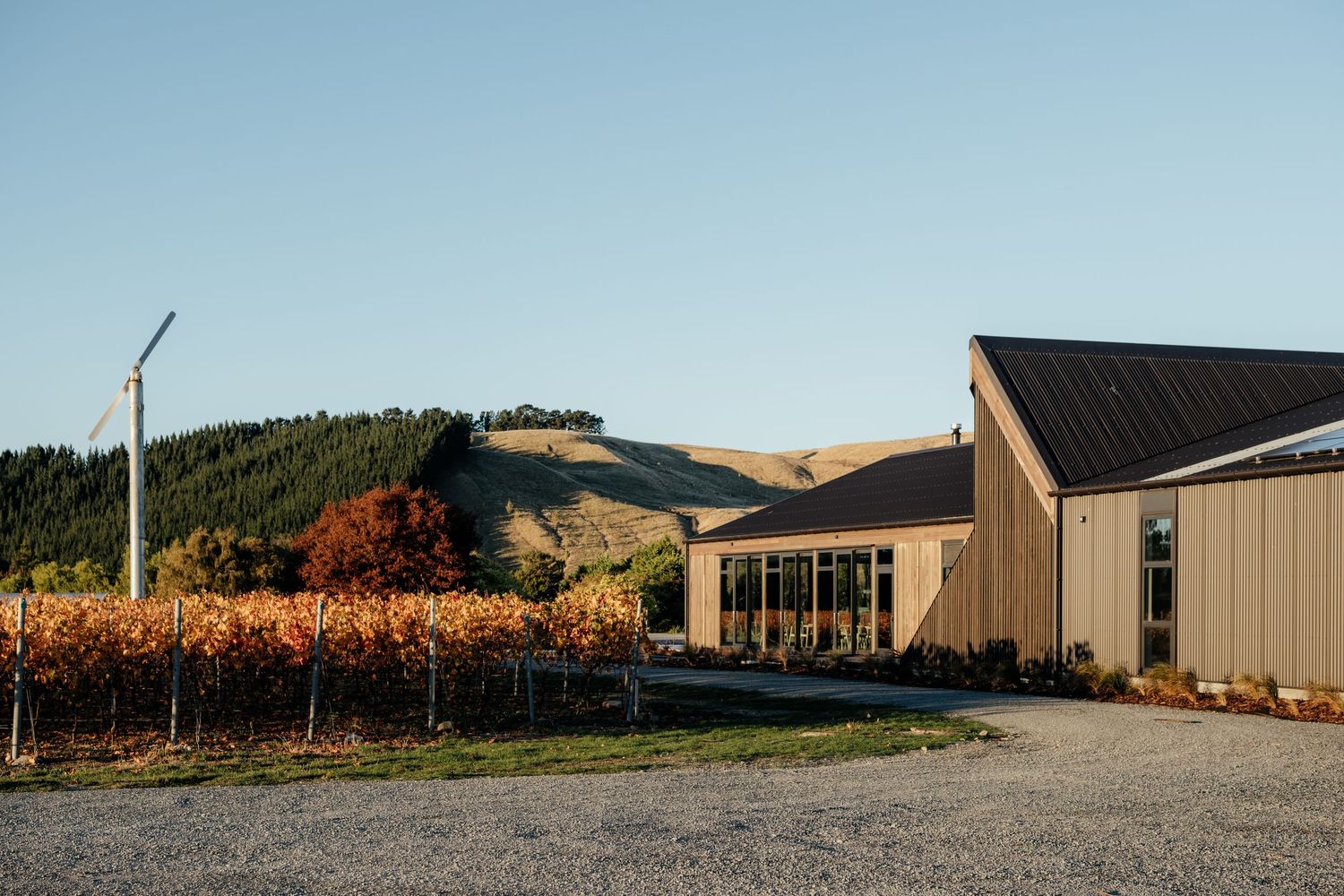 Modern winery building The Runholder with tan exterior sits beside autumn vineyard rows against rolling hills at sunset by August and Vine