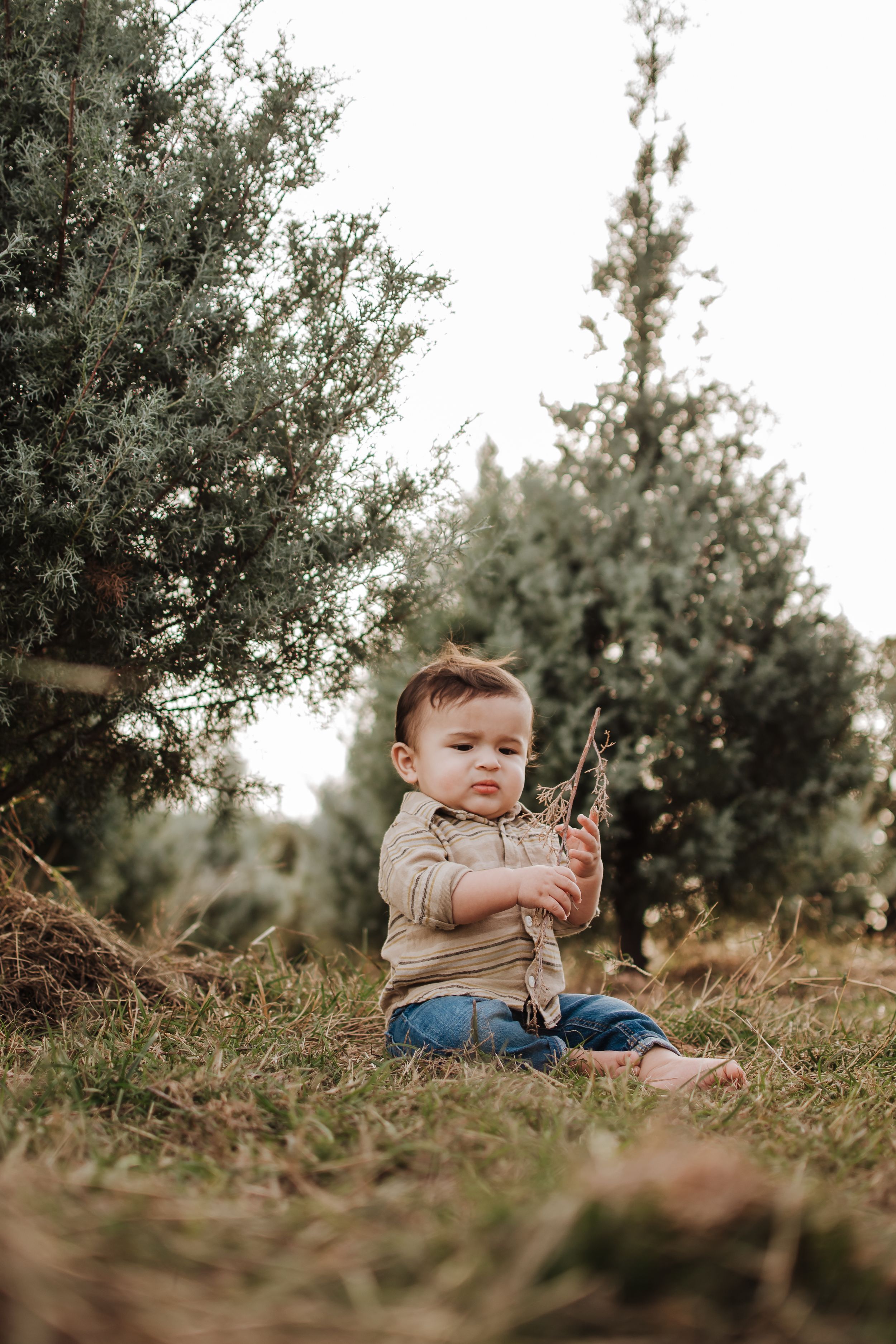 Small child sitting alone on grass under evergreen trees holding a stick. Haynie Green Acres Farm