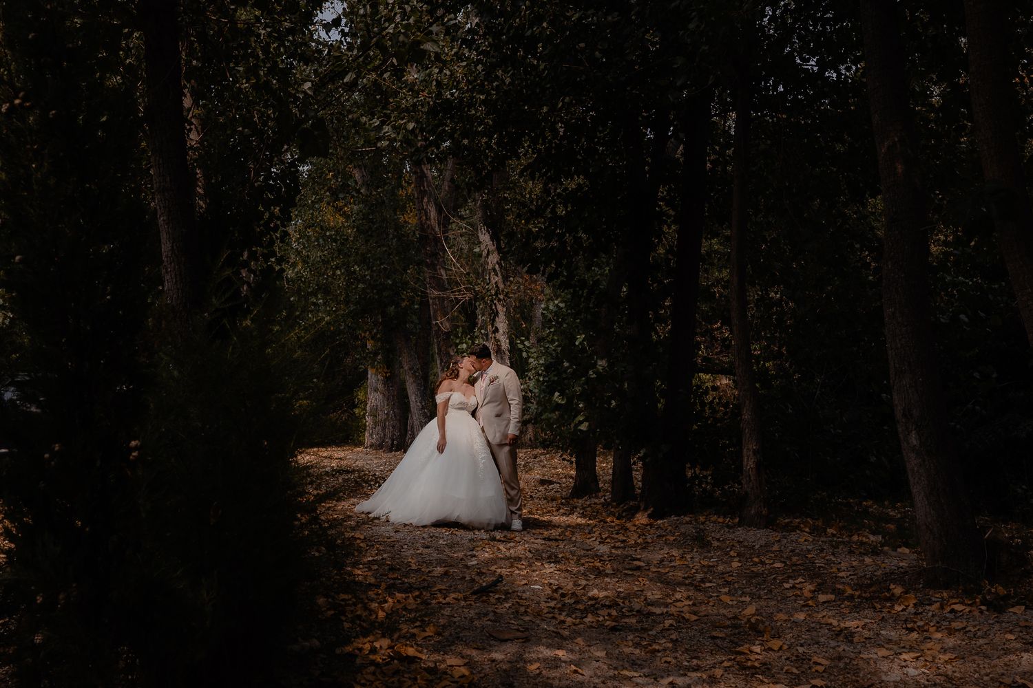 A romantic autumn forest scene with fallen leaves covering the ground.