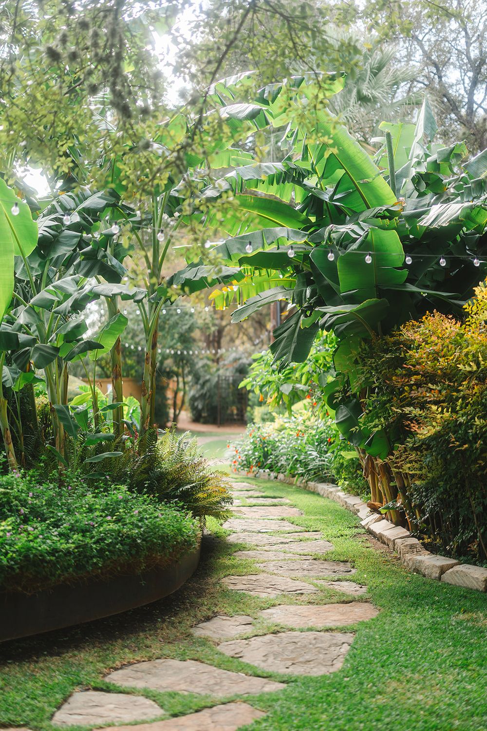 A winding stone pathway leads through a lush tropical garden with banana plants and green foliage creating a natural archway.