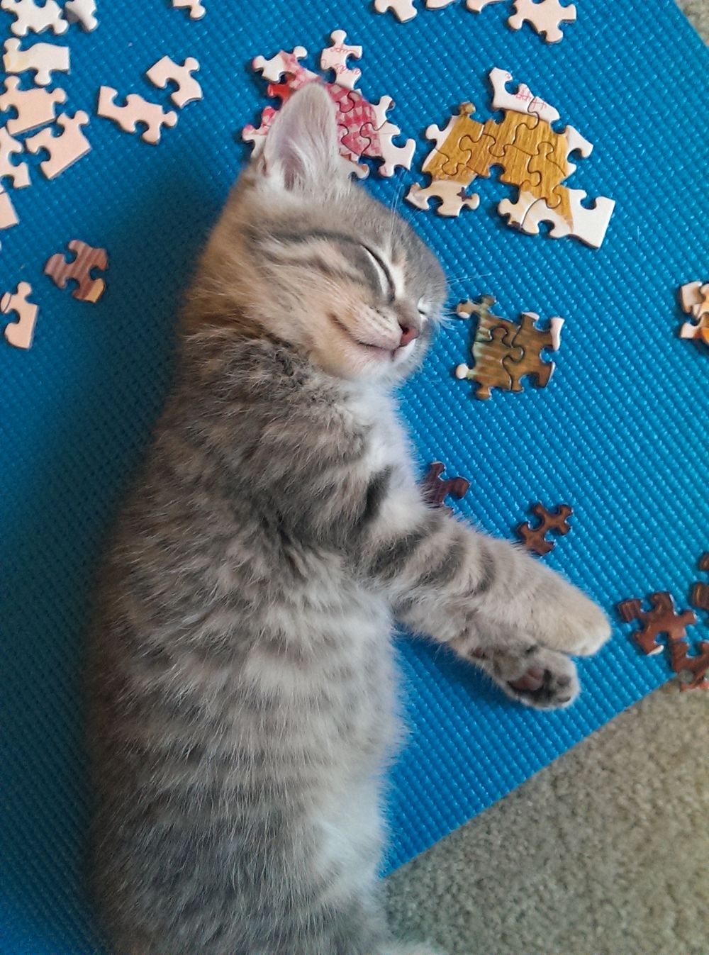 A sleepy grey tabby kitten lies sprawled on a blue puzzle mat with scattered jigsaw pieces around it.
