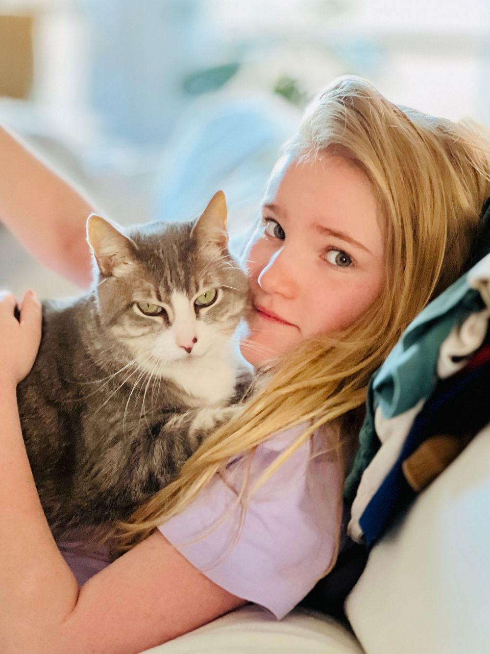 A grey and white cat with a disgruntled expression lounges on a girl who is resting on a couch