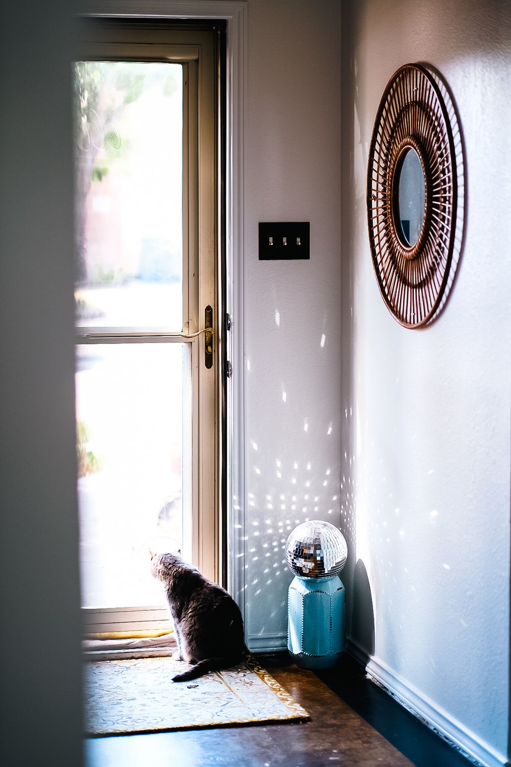 A cat sits by a glass door while sunlight creates scattered light patterns on the white wall beside a mirrored ball.