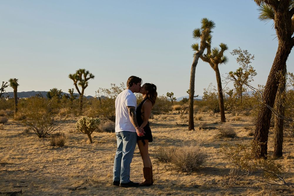 A couple embraces in a desert landscape surrounded by iconic Joshua Trees in golden afternoon light.