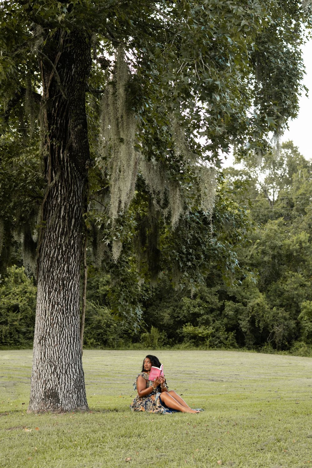 A grassy field with large oak trees draped in Spanish moss creates a serene outdoor reading spot on a sunny day.
