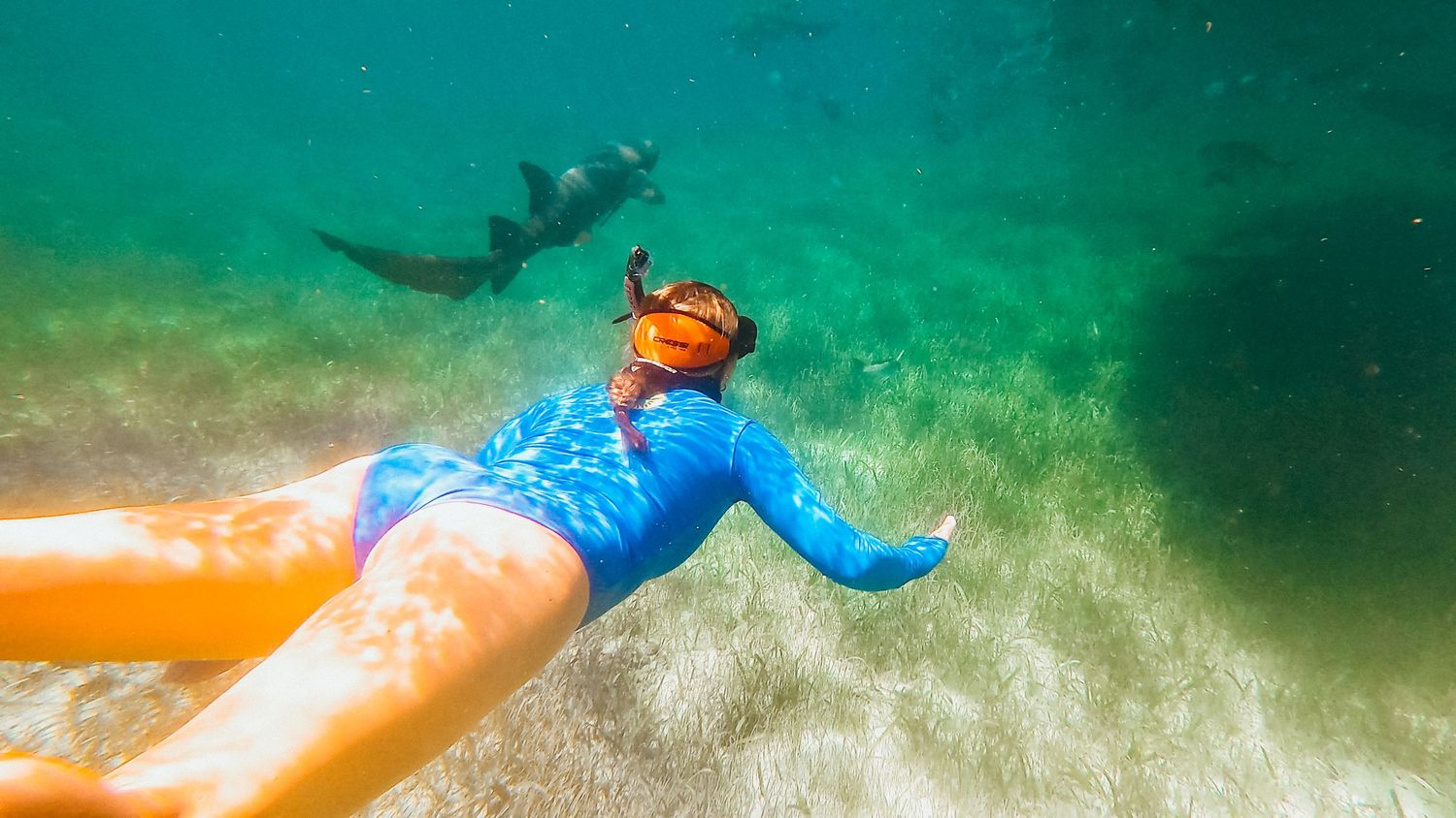 Underwater scene with sea turtle swimming through clear turquoise waters.
