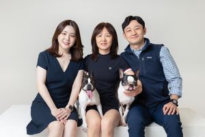 A happy family group portrait with two black and white Boston Terrier dogs on a light background.