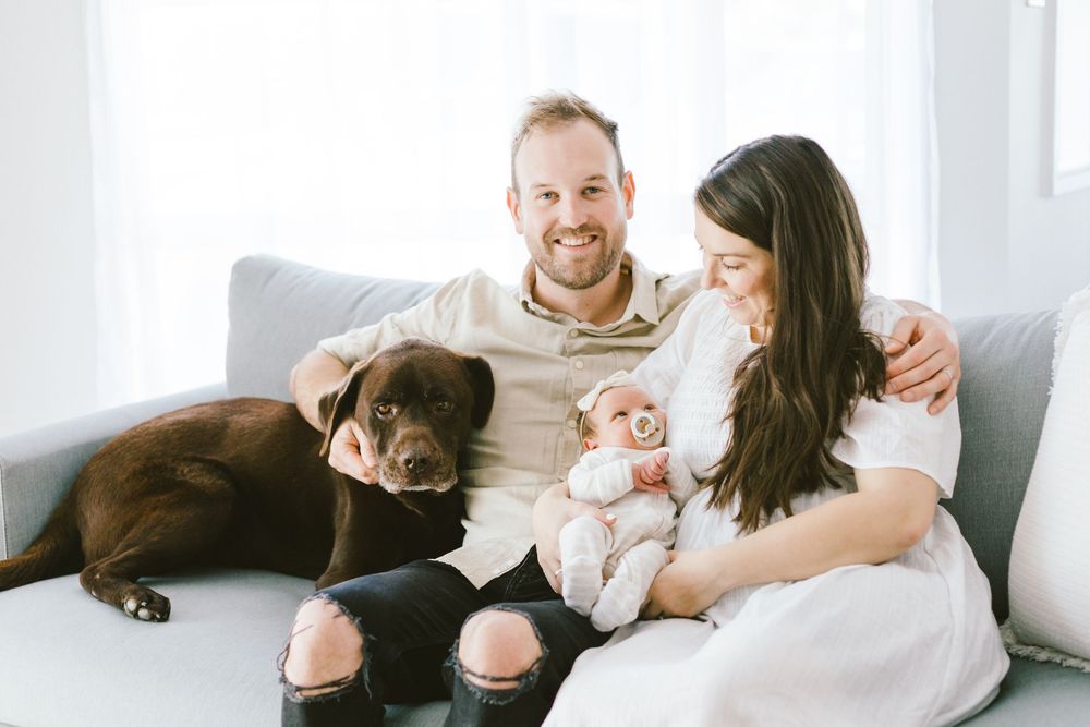 Chocolate lab joins family photo session with newborn baby on white sofa in bright room.