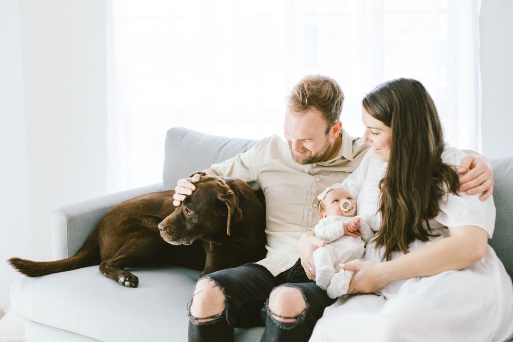 Family cuddles on couch with their dog and newborn in bright natural light setting.