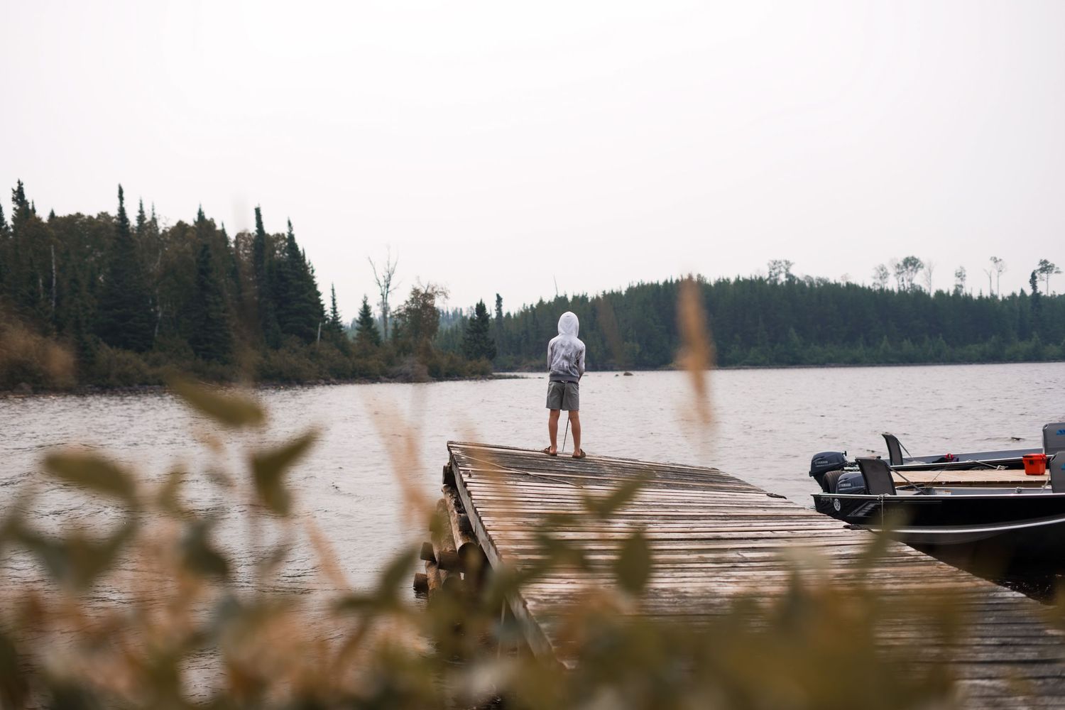 Distant view of a wooden dock extending into a misty lake surrounded by pine trees.