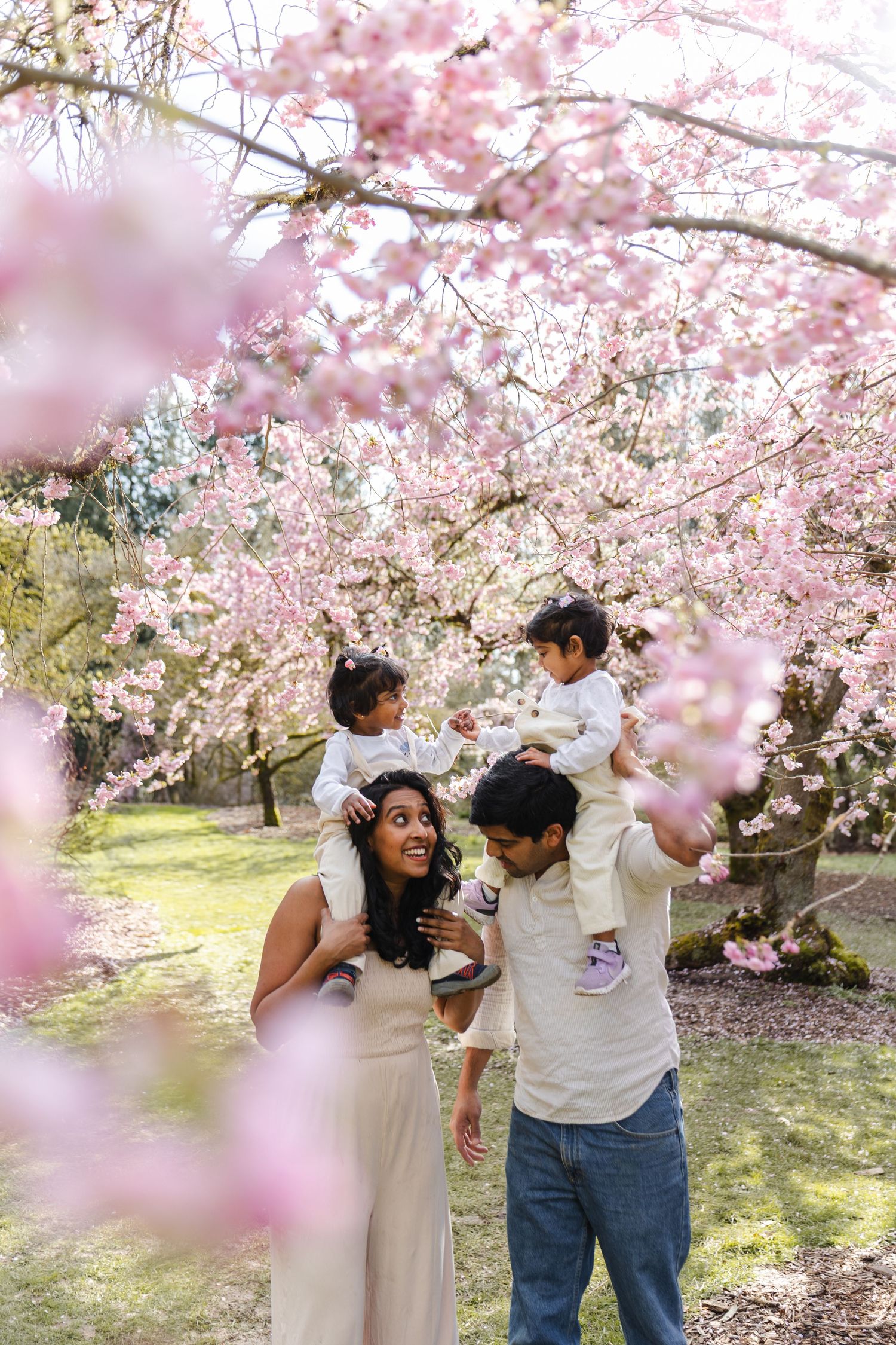 Cherry blossoms frame a peaceful garden scene with blooming white flowers in spring.