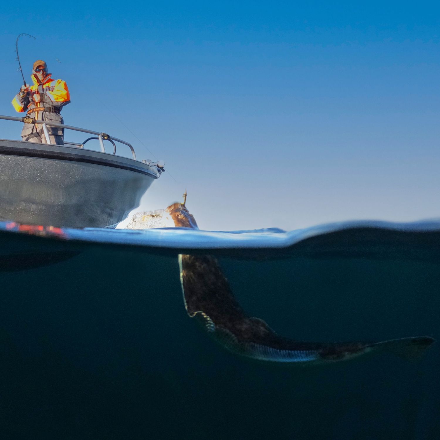 pecheur sur son bateau avec le poisson au bout de la canne à peche à kvaloya