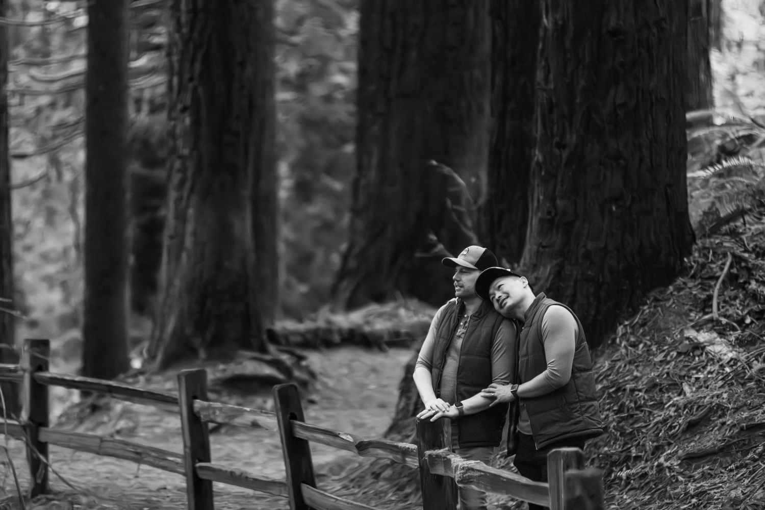 A person walks through a misty forest of tall redwood trees during a foggy morning in California.