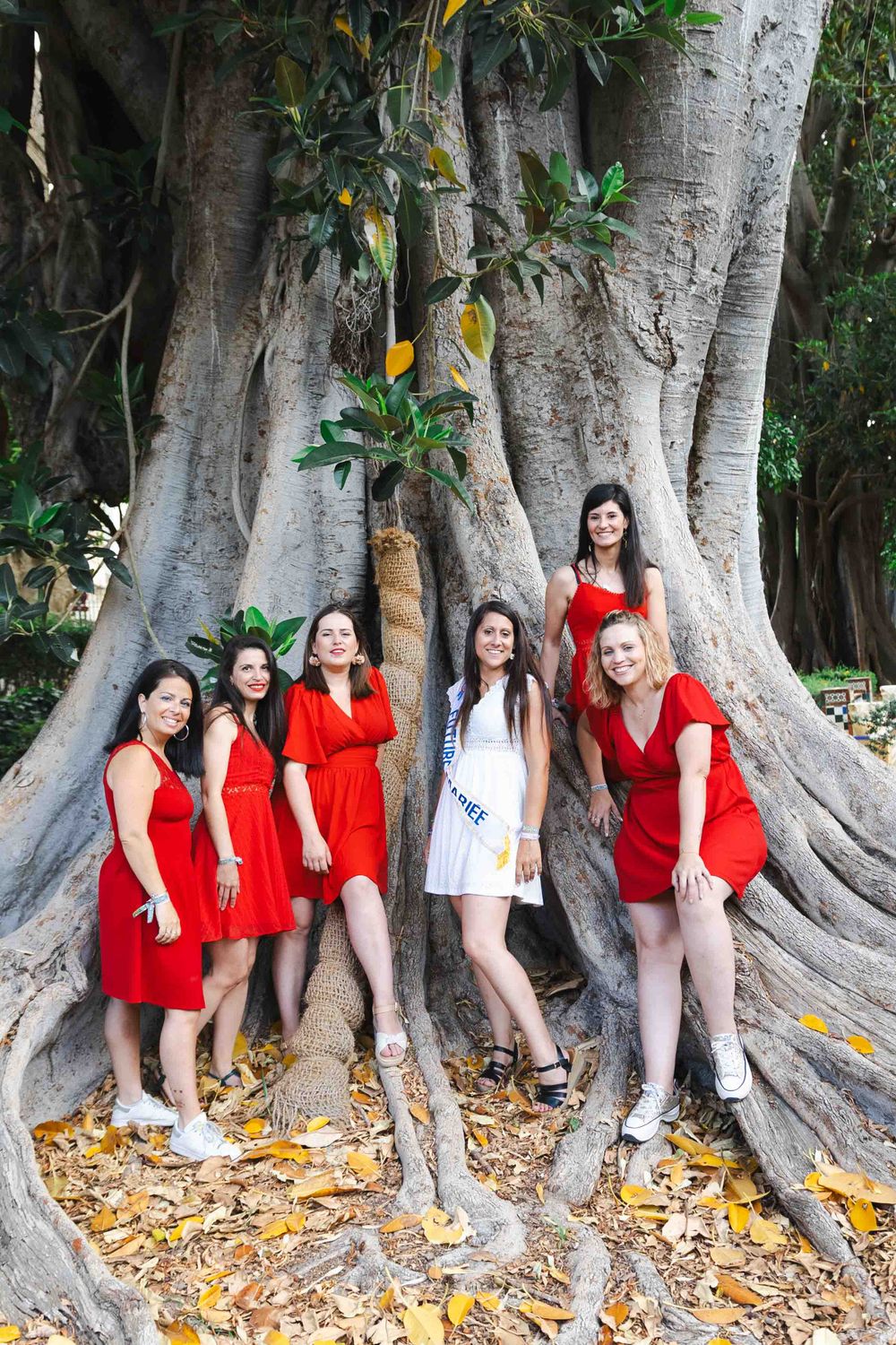 A group poses together in front of a massive tree trunk with spreading roots and fallen leaves.