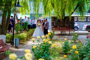 Scenic garden pathway with weeping willow trees and yellow flowers.