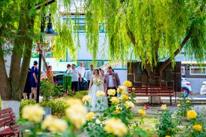 Lush garden landscape with weeping willows and blooming yellow flowers along a walkway.