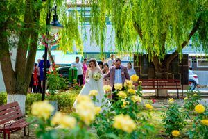 Weeping willow trees create a lush green canopy over a garden path with yellow flowers blooming in the foreground.