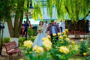 Garden pathway lined with drooping willow branches and bright yellow flowers on a sunny day.