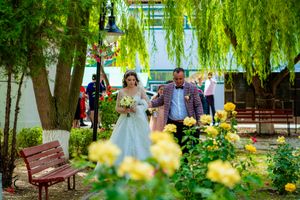Serene garden setting with weeping willows and yellow blooms creating a natural archway.