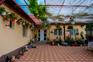 Covered outdoor patio area with climbing vines and checkered floor pattern.
