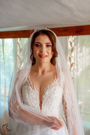 Ethereal wedding dress with detailed lace bodice and flowing veil in soft lighting.