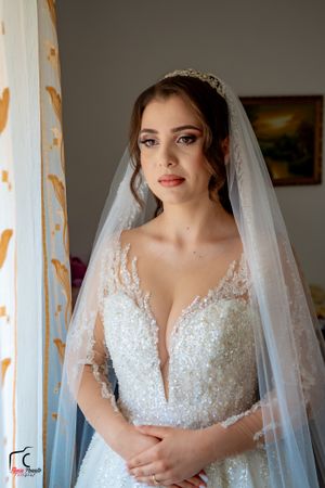 Natural light bridal portrait featuring crystal-embellished wedding gown and delicate veil.