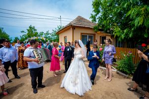 Outdoor wedding gathering with guests mingling on a rustic path surrounded by greenery.