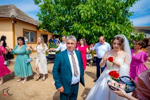 Outdoor wedding party with guests in bright attire gathered around a beige building and leafy tree.
