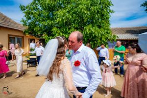 Outdoor wedding celebration with guests gathered under green trees on a beautiful summer day.