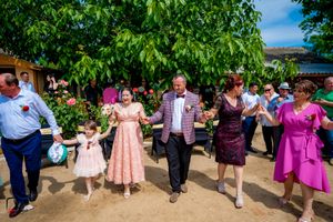 Wedding guests perform traditional dance moves in a line at sunny outdoor venue.