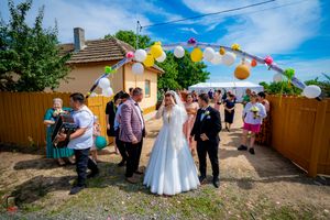 Wedding party gathered under festive balloon decorations in a backyard setting.