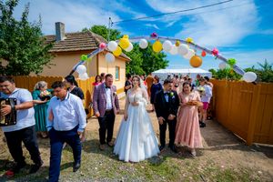 Festive outdoor wedding gathering with guests under balloon arch on a beautiful sunny day.