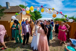 Outdoor celebration with colorful balloons and decorations strung across a sunny backyard gathering.