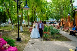 Wedding couple walking along garden path with weeping willow trees and pink flowers.