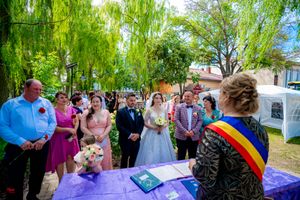 Outdoor wedding scene with attendees surrounding a purple-draped table under weeping willow trees.