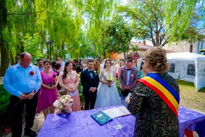 Wedding celebration under green willow trees with purple decor and gathered guests watching the ceremony.