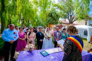 Outdoor wedding celebration with purple decor and guests assembled beneath swaying willow branches.