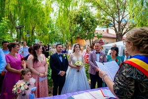 Wedding celebration under willow trees with guests surrounding a purple-decorated ceremony table.