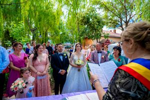 Wedding ceremony guests gather outdoors under a weeping willow tree on a sunny day.