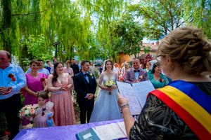 Outdoor wedding celebration with guests standing beneath drooping willow branches.