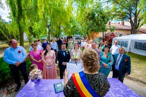 Outdoor wedding ceremony with guests gathered around a purple-covered table.